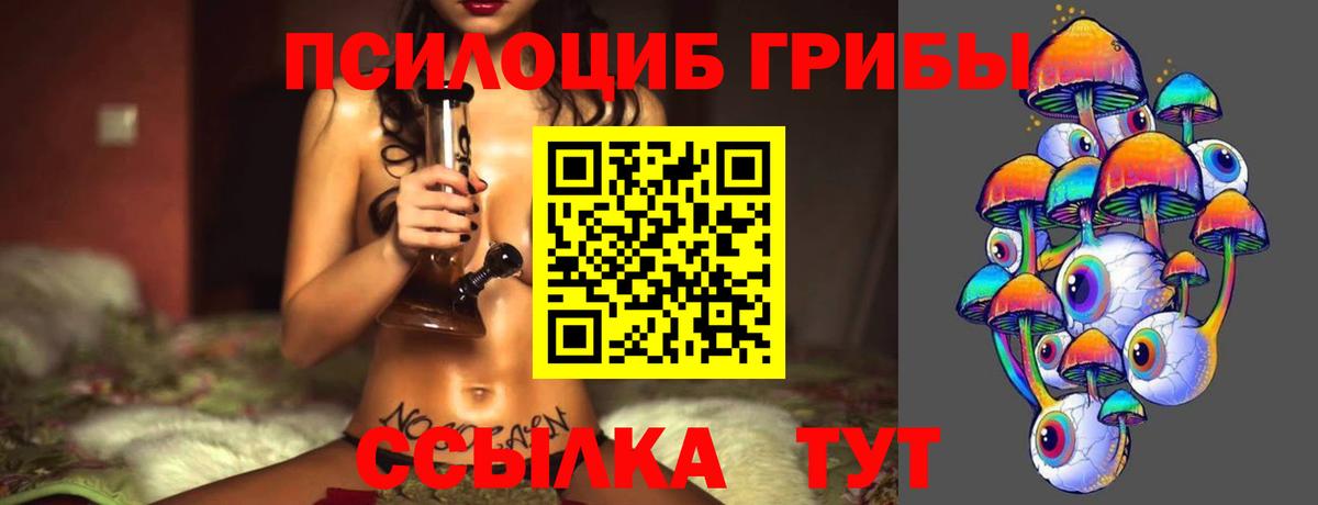Соль-Илецк  Галлюциногенные грибы мицелий  Галлюциногенные грибы GOLDEN TEACHER  Вход с VPN 